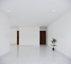 Spottiswoode Park (D2), Apartment #566521821